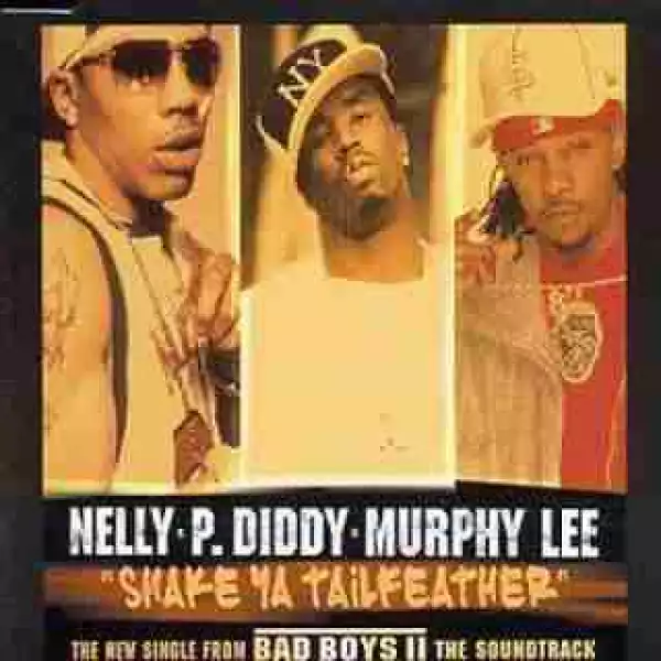 Instrumental: Nelly - Shake Ya Tailfeather (Prod. By Nelly & Jayson ‘Koko’ Bridges) Ft. P. Diddy & Murphy Lee